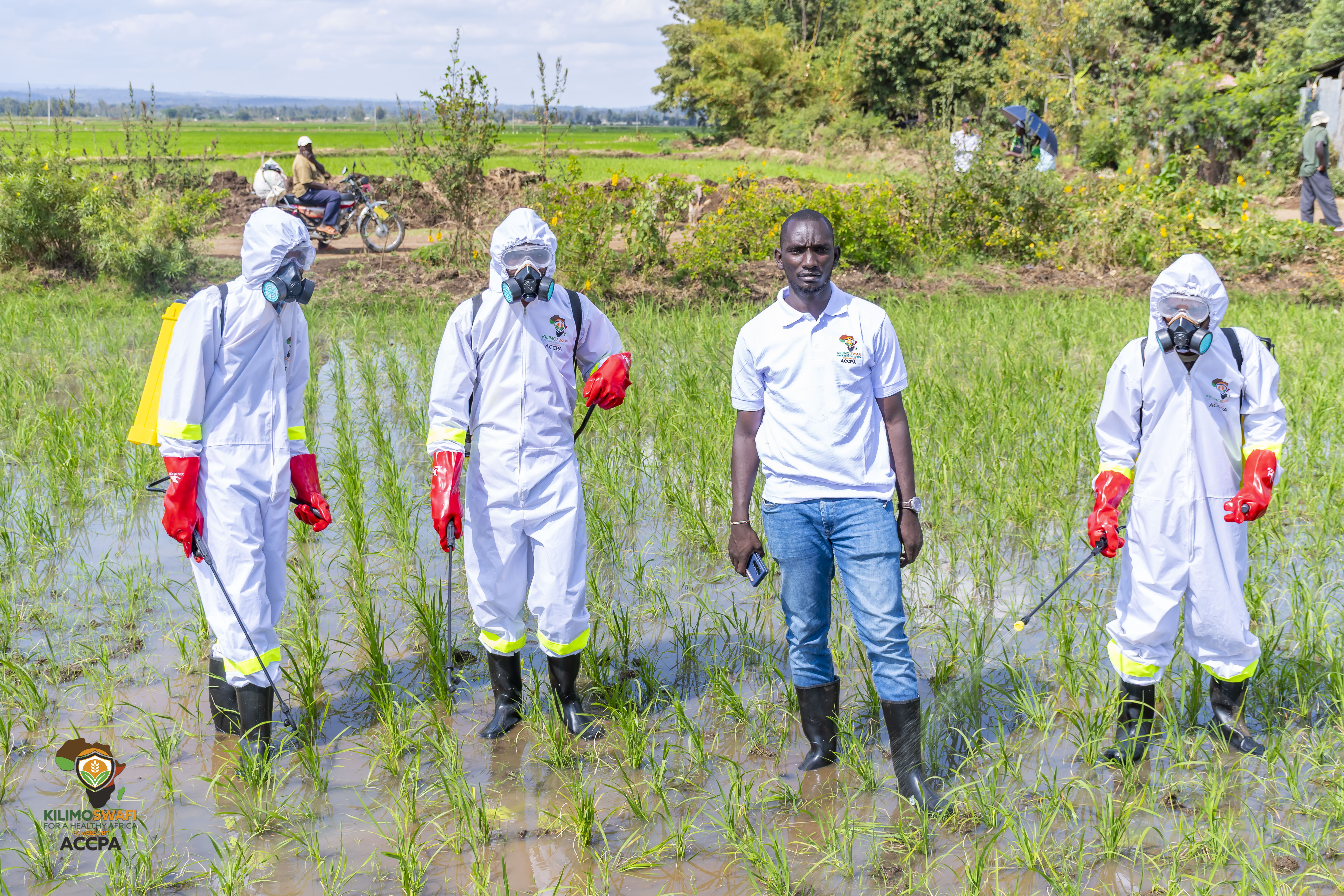 Managing Pests Safely