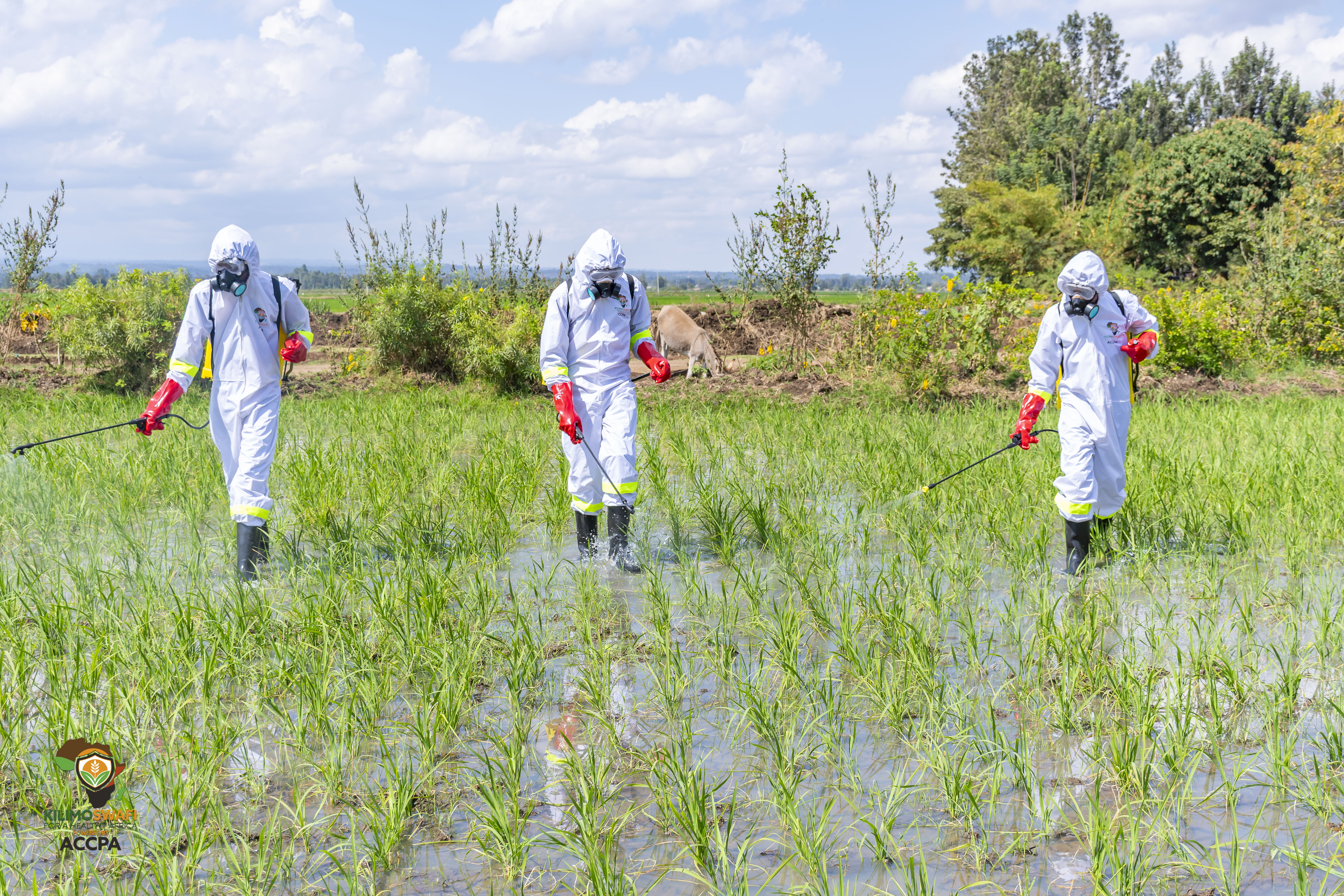 Personal Protective Equipment (PPE)